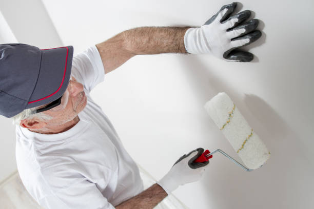 Best Dehumidification Services  in Norridge, IL
