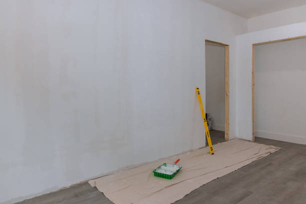  Norridge, IL Mold Removal Pros