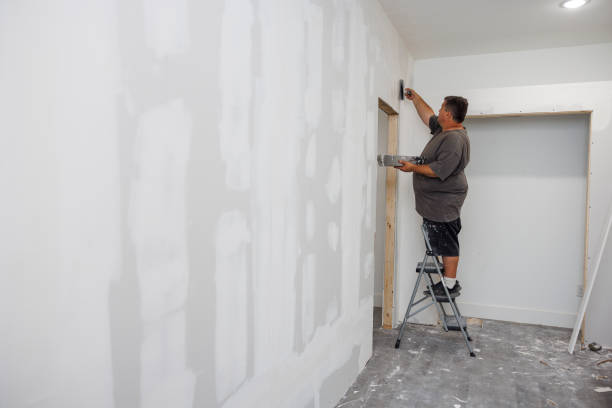 Best Crawl Space Mold Remediation  in Norridge, IL