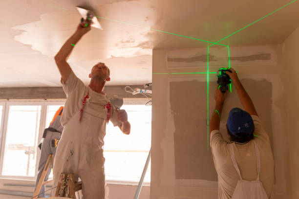 Best Mold Remediation for Rental Properties  in Norridge, IL