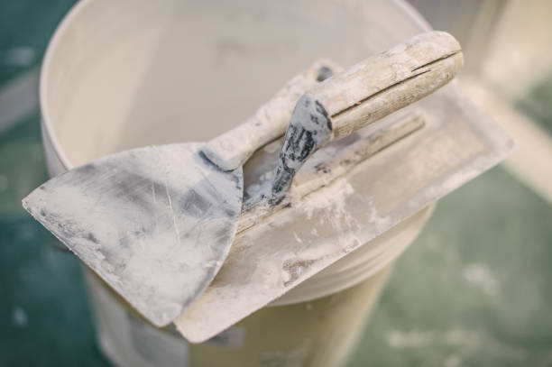 Best Mold Prevention Services  in Norridge, IL